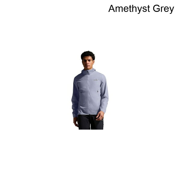 (На заказ) GOREWEAR мужская ветровка с капюшоном Fernflow — мужская Amethyst Sary
