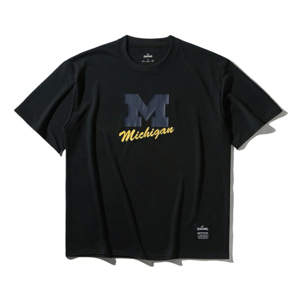 SPALDING SMT25139M классический баскетбольный мяч с логотипом 1000 Michigan M 25FW
