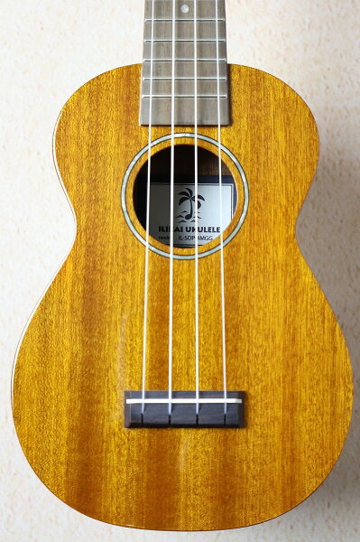 ILIKAI SOP-4MGG (однодоска) SOP-4MGG комплект для начинающих с чюнером и учебником — доставка G-CLUB UMEDA