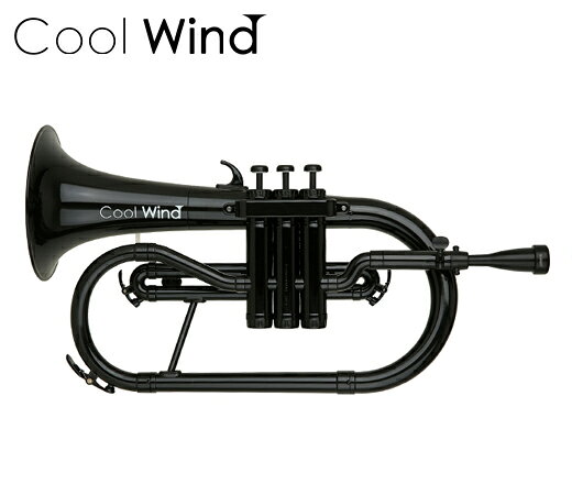 Cool Wind FH-200 BLK — черный (пластиковый парус‑фрикционный футляр) (приём предзаказов)