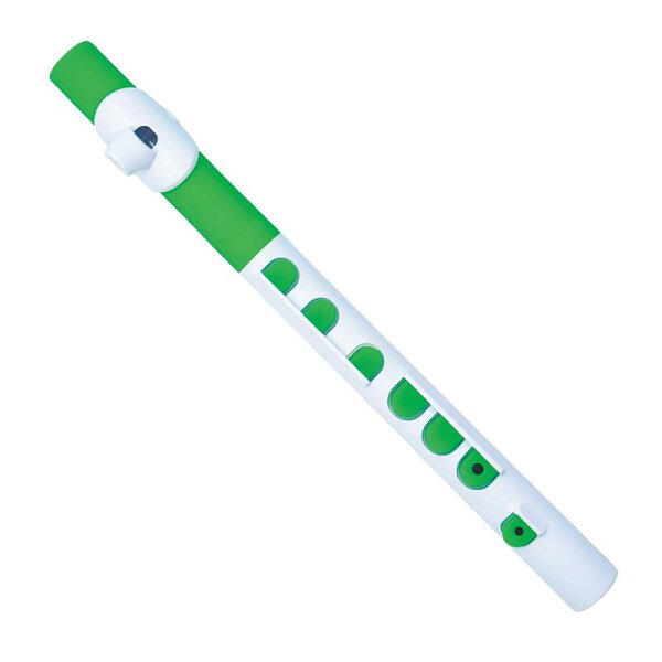 NUVO N430TWGN PlusClick футляр для флейты TooT (White/Green)