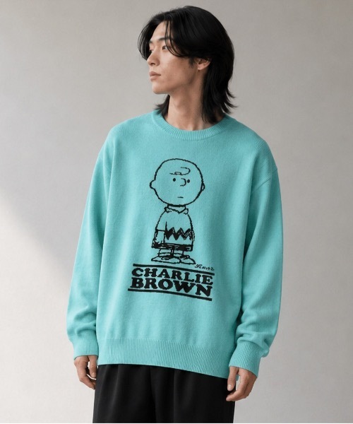 HOUSTON × PEANUTS — JQ Knit (Snoopy/Charlie Brown) модель 22255/22256