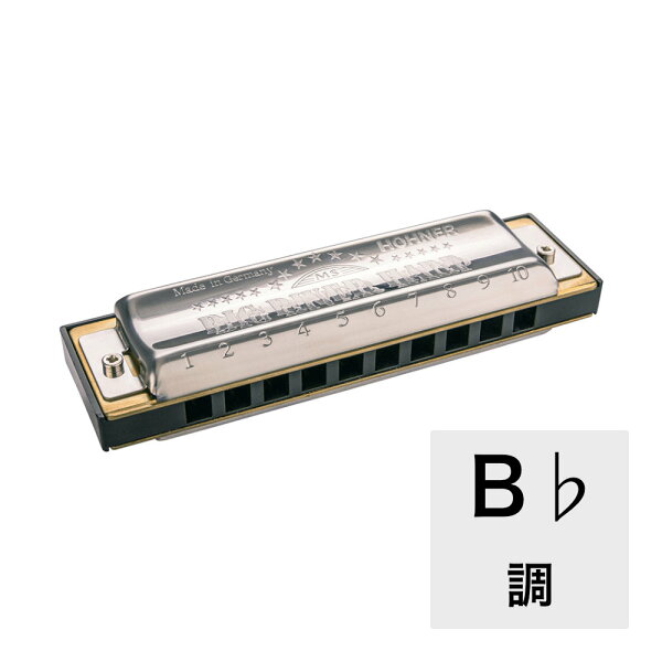 Гармоника B♭ HOHNER Big River Harp MS X 590/20MSX — 10 шт.