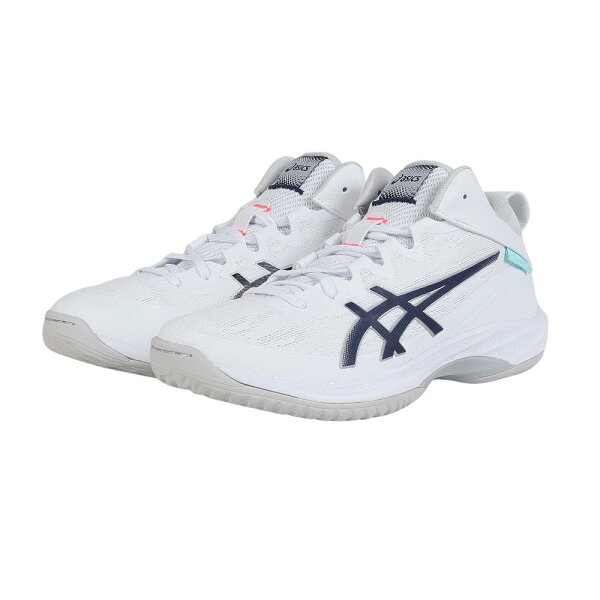 Asics GELHOOP V17 баскетбольные кроссовки для баскетбола M & L, модель SH 1063A096-104