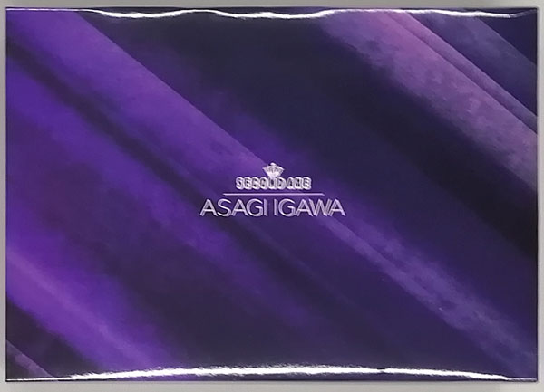 Taimanin Series SECOND AXE Type HENTAI ACTION Asagi Igawa (Native Online Shop Exclusive)