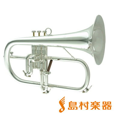 Carol Brass N6200 GBSP флюгельгорн