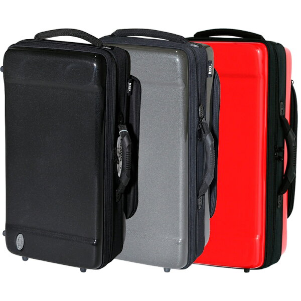 BAGS TRUMPET W CASE (EC2TRM) — чемодан для 2-трубной трубы, футляр для духовых инструментов, классический гласфар