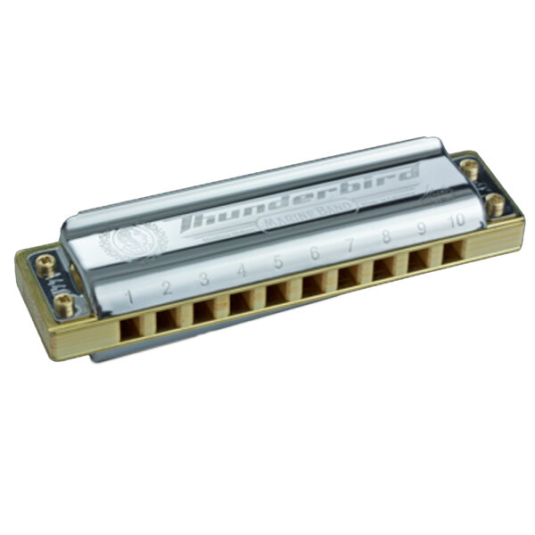 HOHNER Диатонический гармонический марионбенд Sandard LOW-E♭ 202512ss