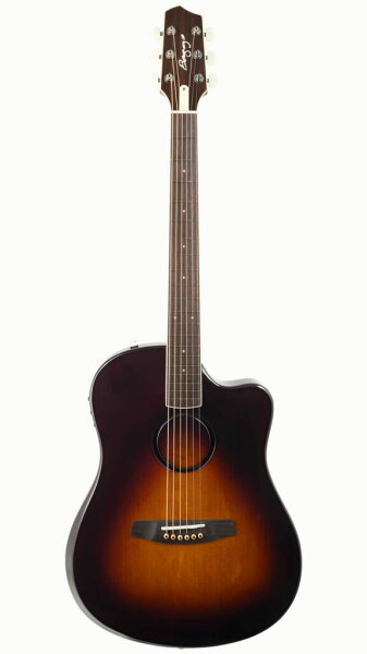 L.R.Baggs AEG-1 SB акустический электро‑гитарный звукосниматель с соленой посадкой, с проходным регулятором, с гнездом, спрут/усилитель