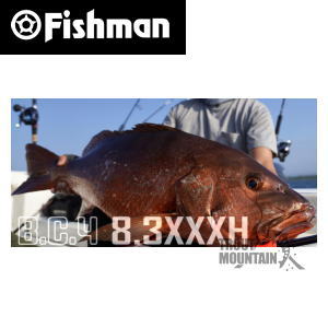 [お取り寄せ] Fishman BC4 8.3XXXH (4571487900252) ビーシーフォー 大型宅配便