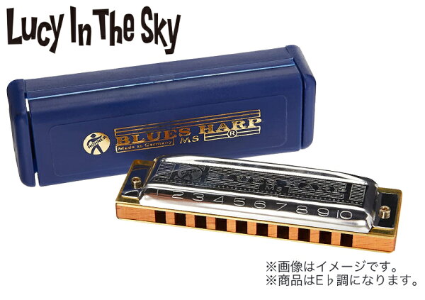 HOHNER Blues Harp X 532/20 MSX — губная гармоника 10 ответов (E♭)