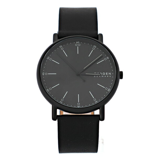 Часы Skagen мужские SIGNATUR, чёрные SKW6902