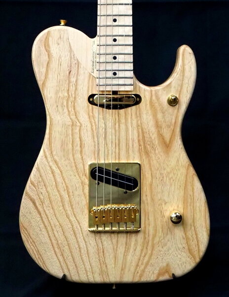 Washburn NELE STANDARD