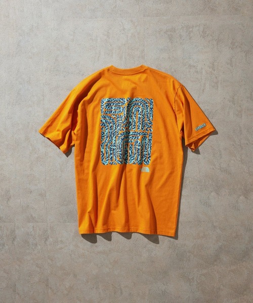 THE NORTH FACE Reversible Lightweight Trivity (реверсивная легкая куртка)