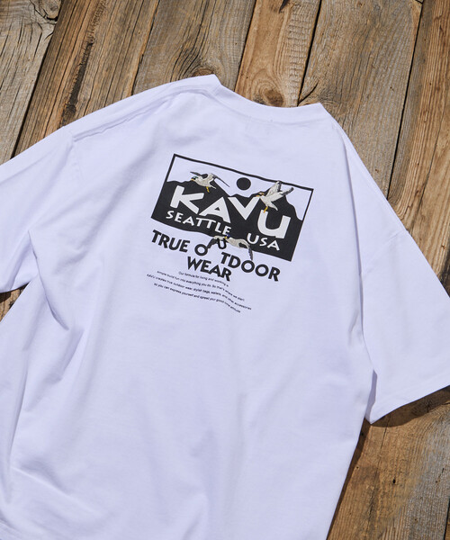 Лимитированная коллекция KAVU×FREAK'S STORE — футболка с большим логотипом (limited)
