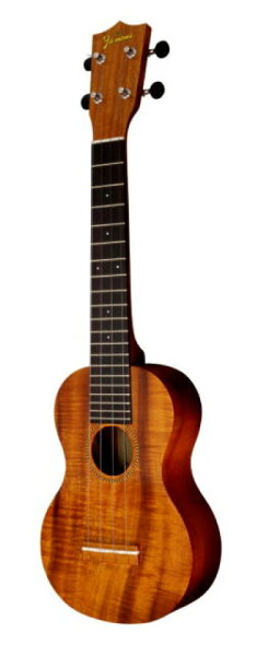 Famous FLS-2G Sopranino ukulele Longneck