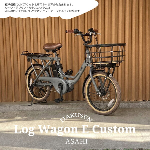 ASAHI LOG WAGON E (Logwagon e) электрический велосипед с загрузкой ATRAN DUO, полный кастом, доставка (план A)