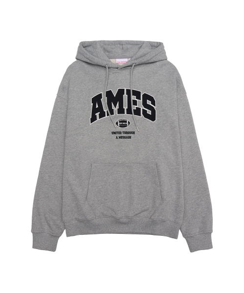 BASIC APPLIQUE HOODIE — базовая худи с аппликацией серая