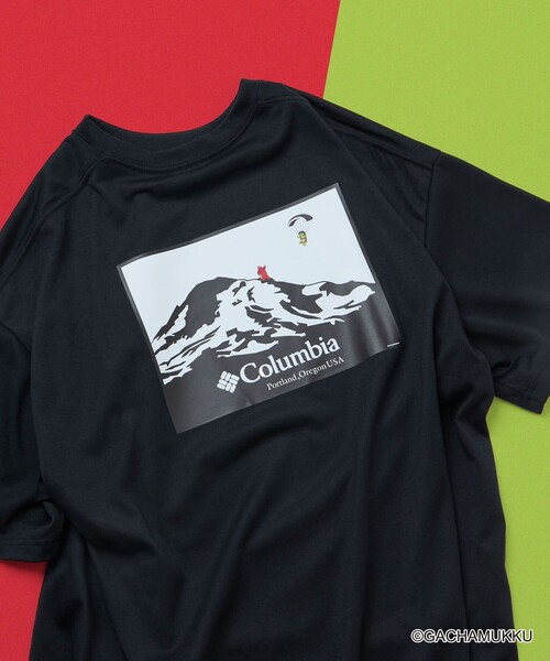 Лимитированная коллекция GAJAPIN × Columbia × FREAK'S STORE инкрустированная футболка 'Imperial Park' Mountain Motif Backprint