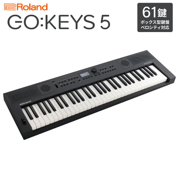 Roland GO:KEYS5 GT графитовый портативный клавишный контроллер 61-клавишная клавиатура Roland