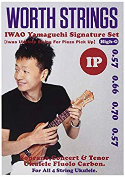 Worth Strings IP Piezo IWAO, пьезоподобный звук, 63-дюймовый фруфлокербон (Used)